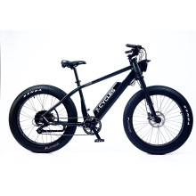 Zl-2001f 26′′*4.0 Fat Electric Bike 48V 1000W External 8speed